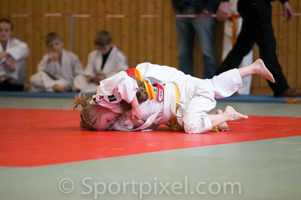 ju-pok-1403 16865481931 o