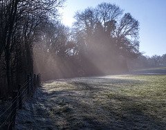 Frosty field in West Dorset