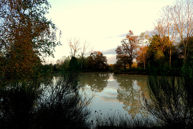 Couleurs d'Automne