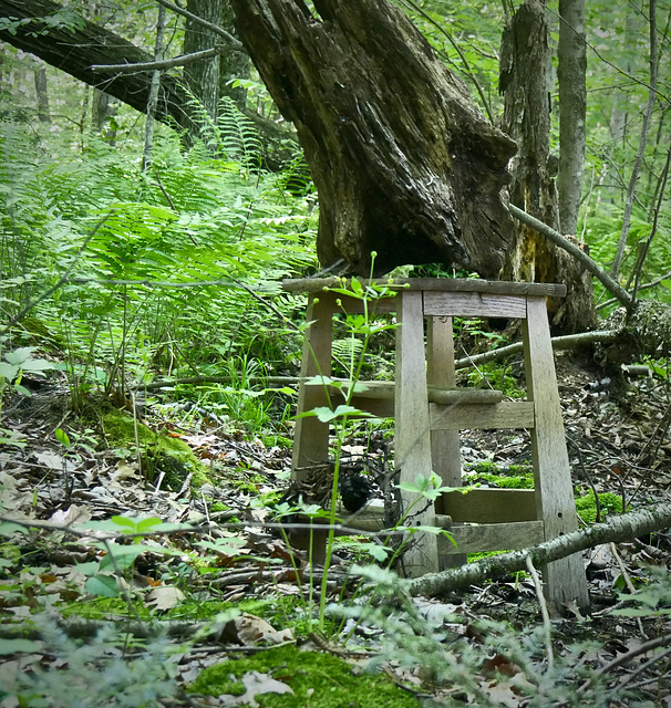 No More Stepping on This Stool