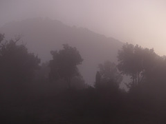 20241013 Rando Col de Bes (Cévennes) (121)