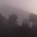 20241013 Rando Col de Bes (Cévennes) (121)