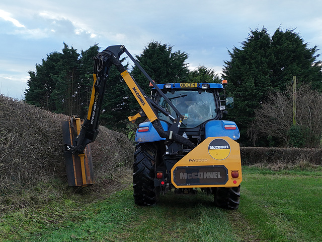 Trimming edges and hedges