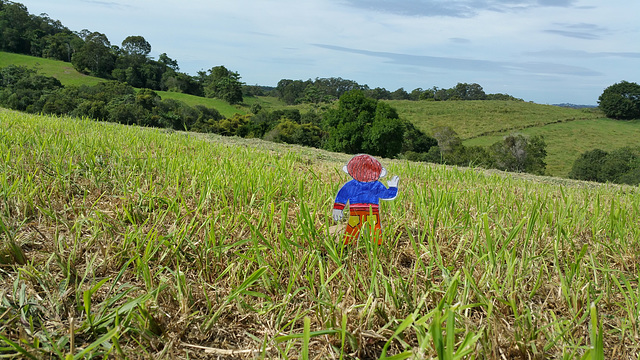 Flat Stanley in Australia