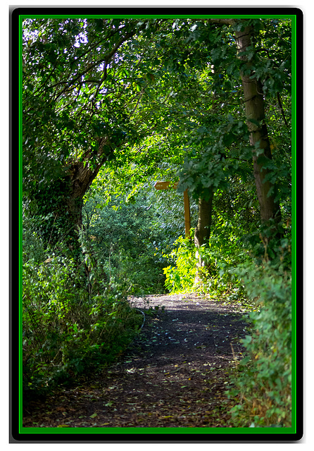 Country path at Burton Mere