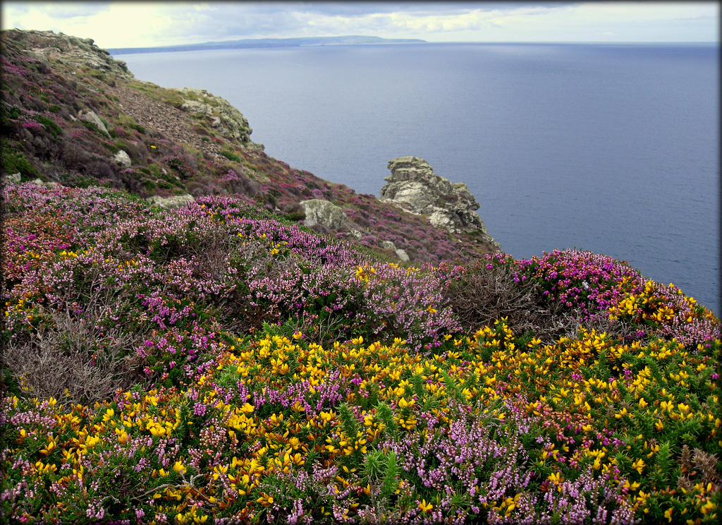 Newdown's Head, St Agnes, Cornwall