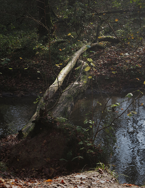 "Brücke" über den Angerbach