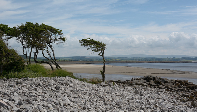 A view from Jenny Brown's Point