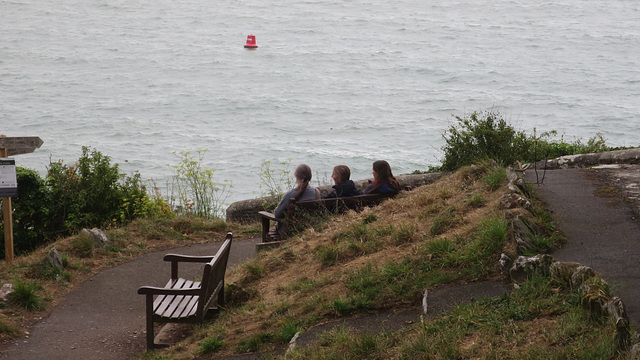 Dartmouth Castle