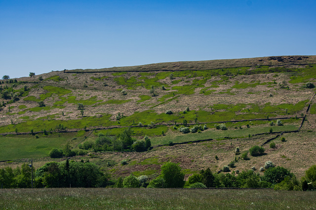The South end of Cown Edge