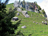 Rocky Hillside.