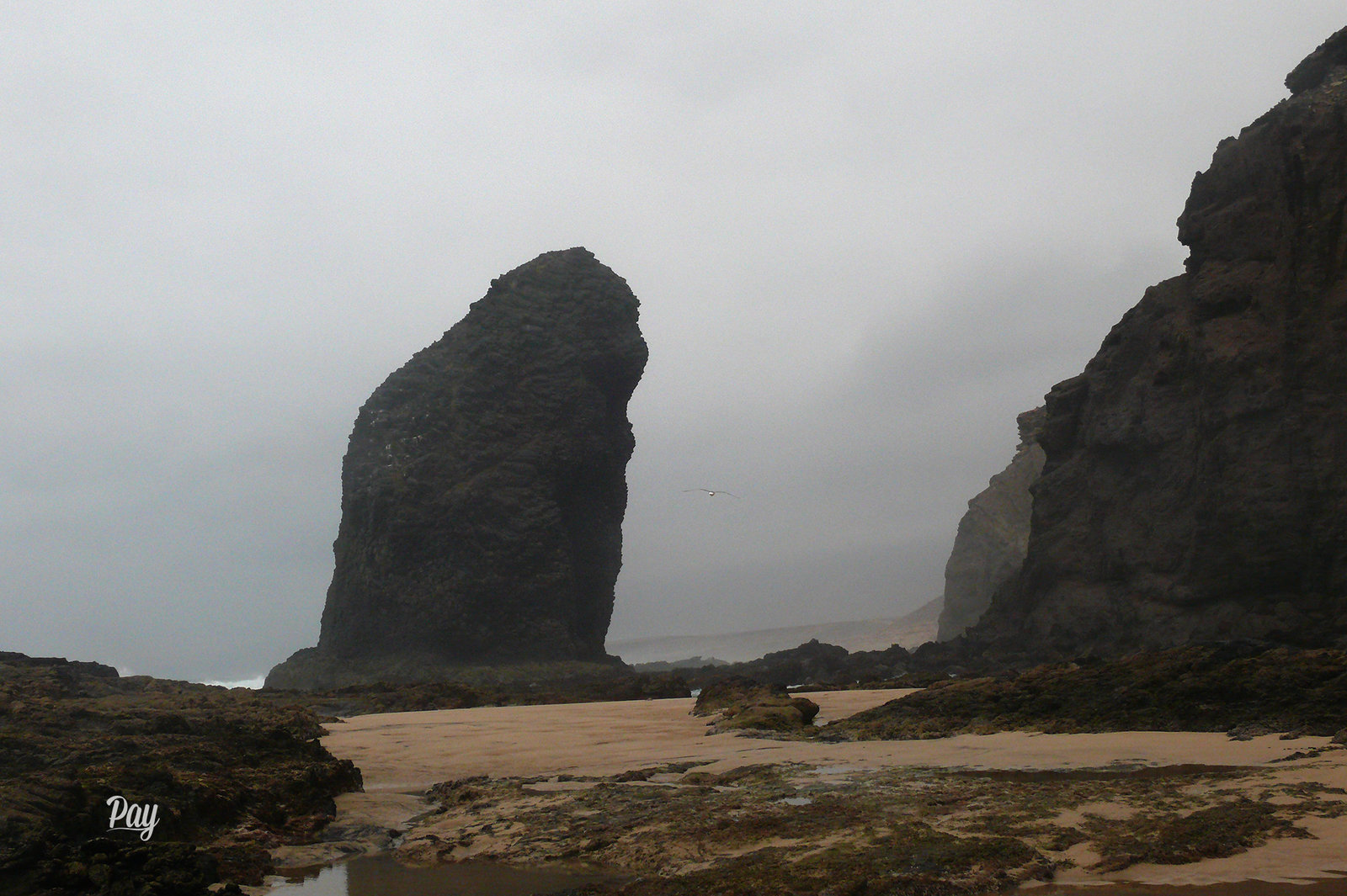 Roque del moro 3