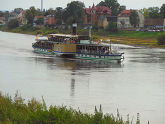 Dresden hat die älteste Radschaufel- Dampferflotte der Welt
