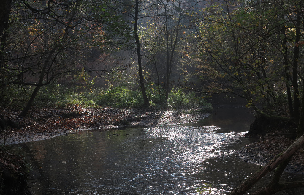 Der Angerbach