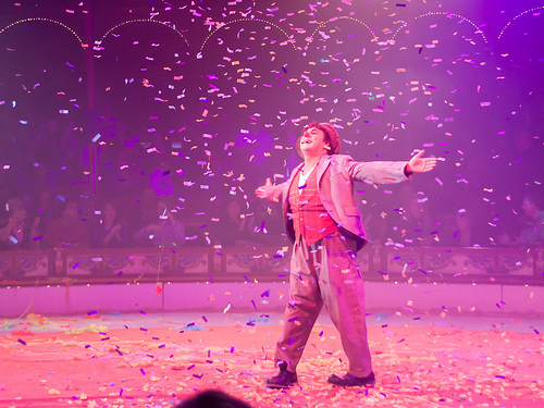 Im Zirkus