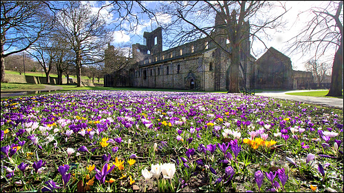 Kirkstall Abbey