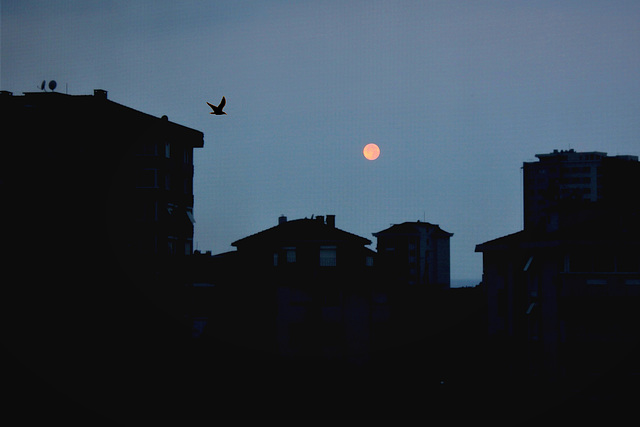 Red Moon