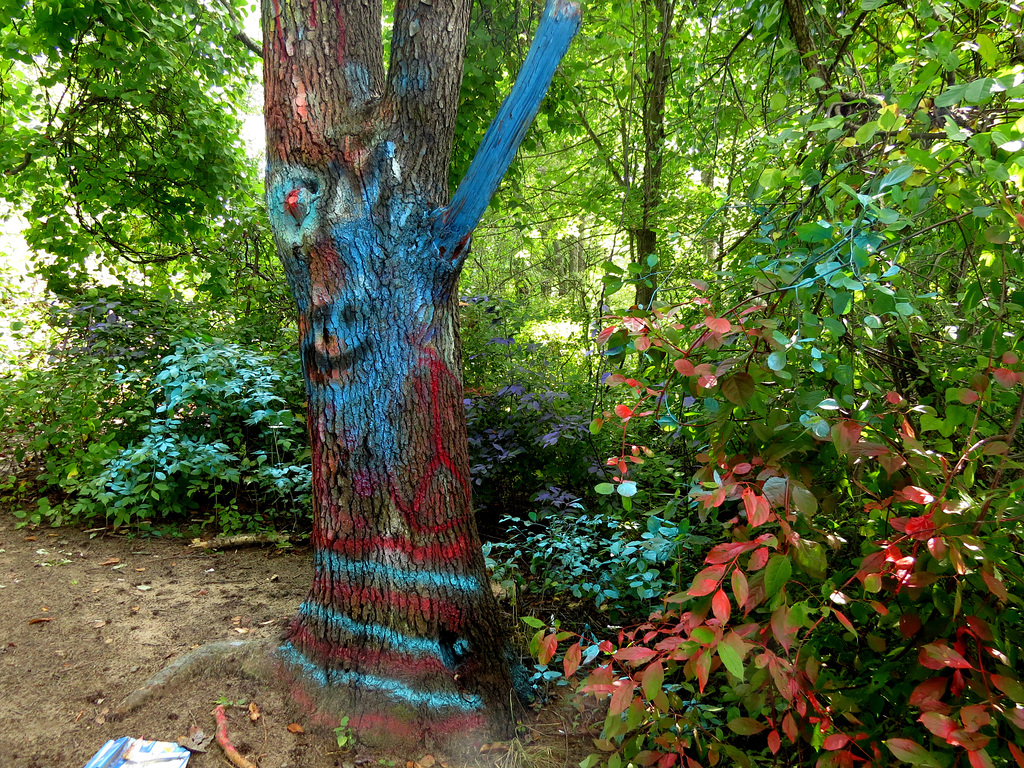 Spray painting nature
