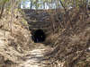 Muntapa Tunnel 272573