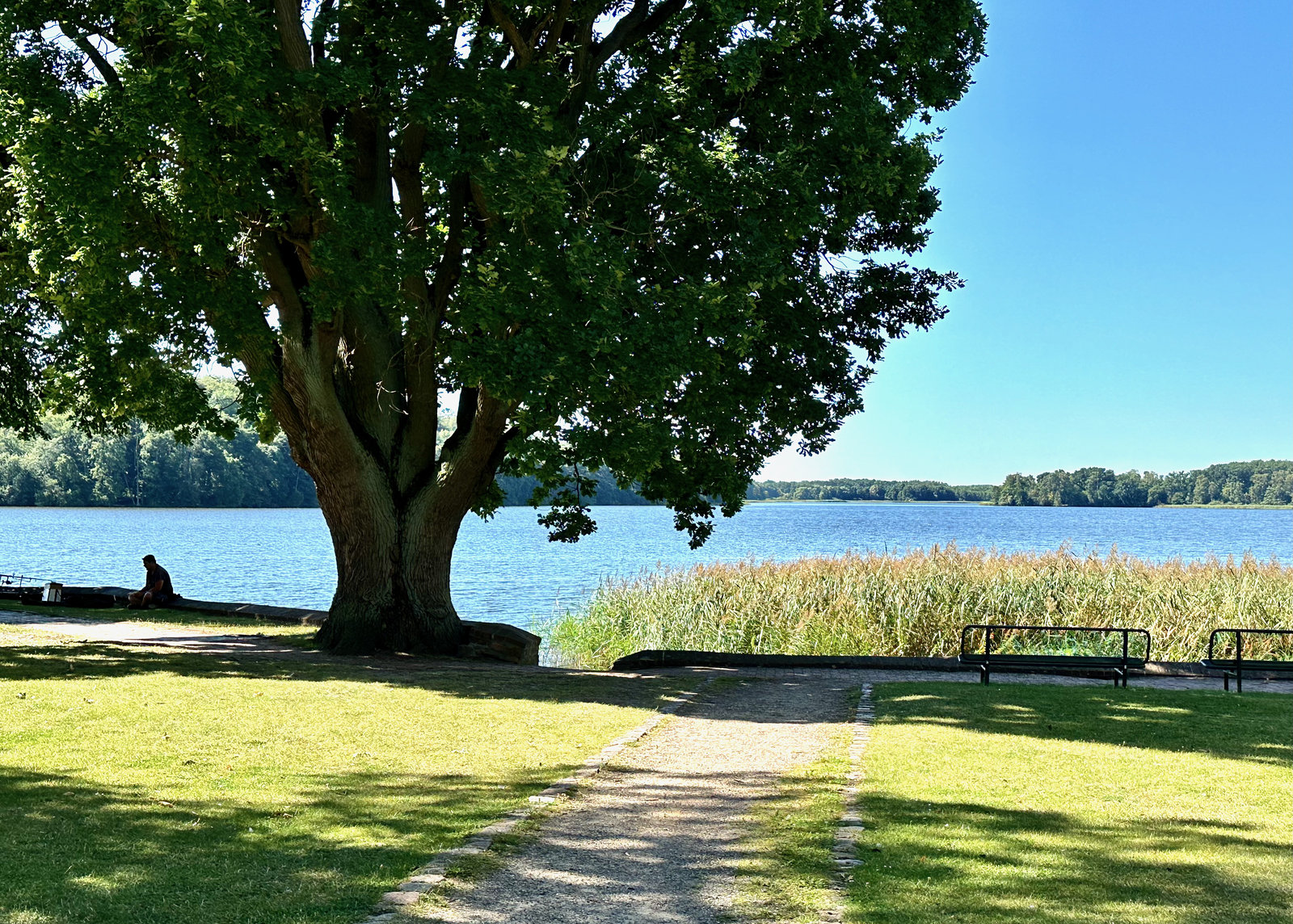 Dobbertiner See