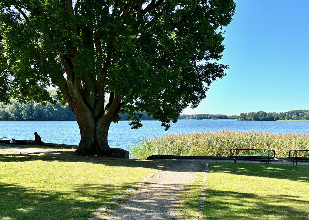 Dobbertiner See