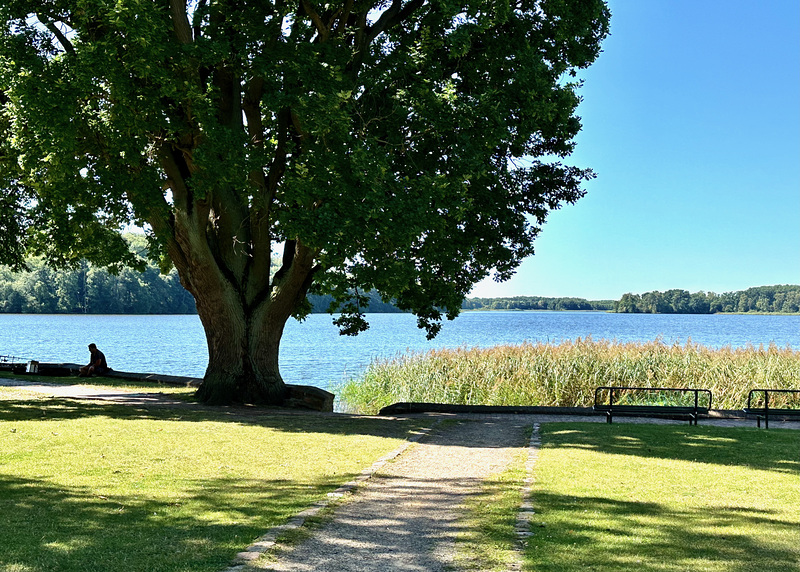Dobbertiner See
