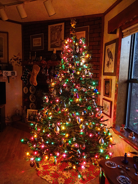 Christmas Tree