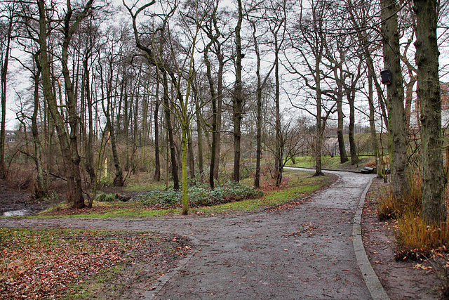 Weg am Elpenbach (Oberhausen-Klosterhardt) / 20.01.2018