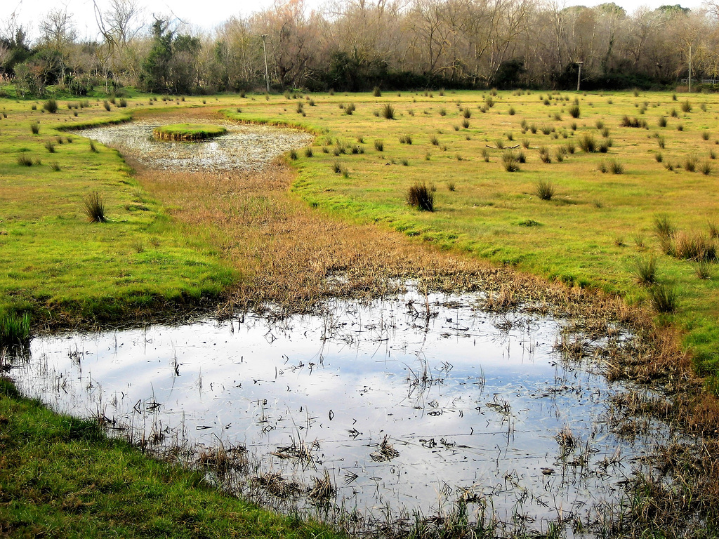 "Parc Natural dels Aiguamolls de l’Empordà