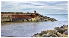 HWW...........From Staithes