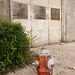 Mankota hydrant 1