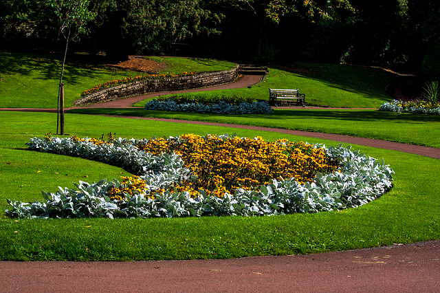 In the park