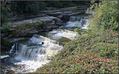 Aysgarth Falls -the steps