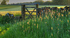 HFF ~ A King Sterndale gateway