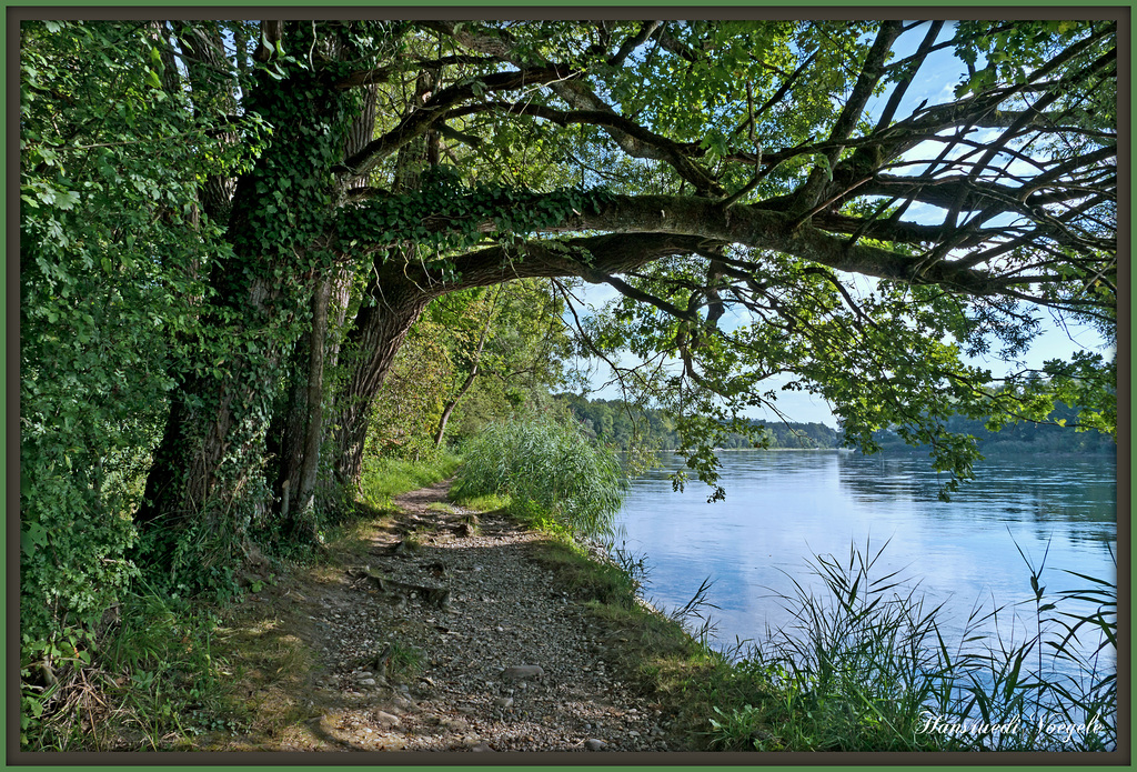 Am Rhein bei Rüdlingen  /Kt Schaffhsen