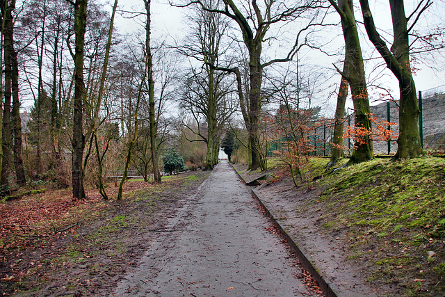 Weg am Elpenbach (Oberhausen-Klosterhardt) / 20.01.2018