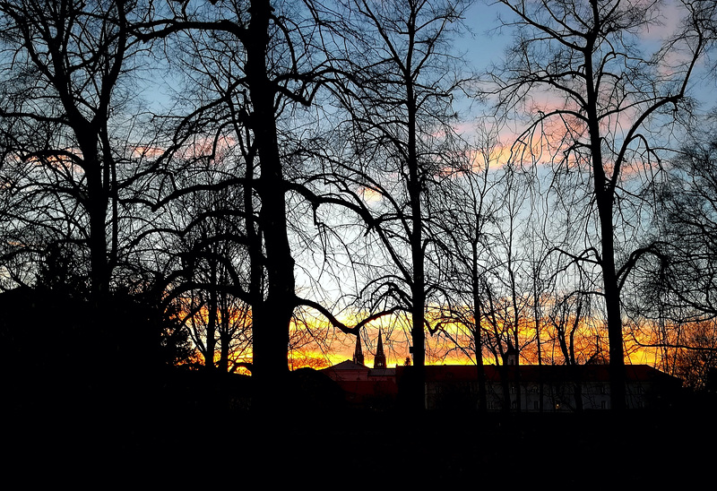 evening dream