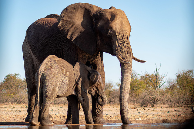 VOYAGE EN AFRIQUE