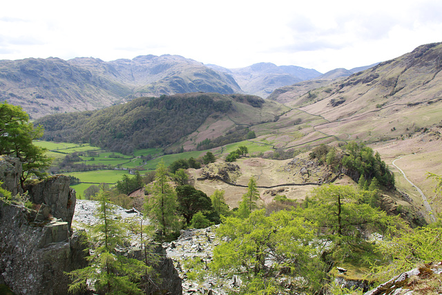 Castle Crag Borrowdale