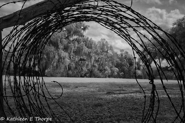 Circle B Bar Preserve 030216-Barbed Wire Rainbow