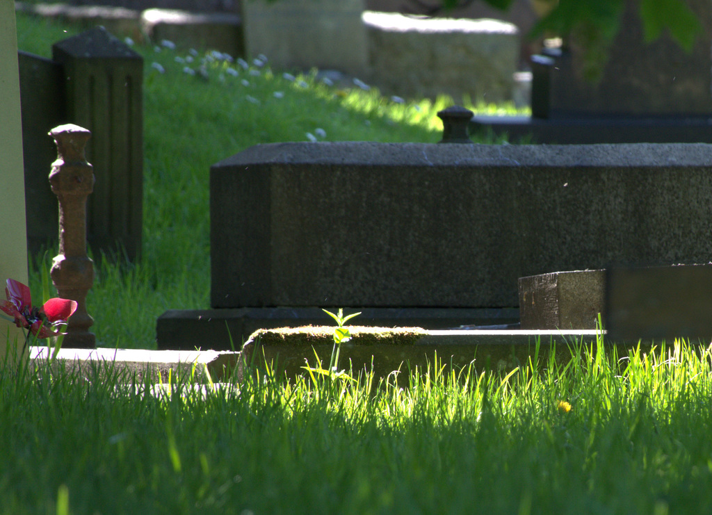 Sunny Cemetery