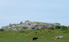 cheesewring quarry, bodmin moor , cornwall