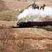 LNER class J27 0-6-0 65984 passing Moorgates NYMR 30th March 2019.