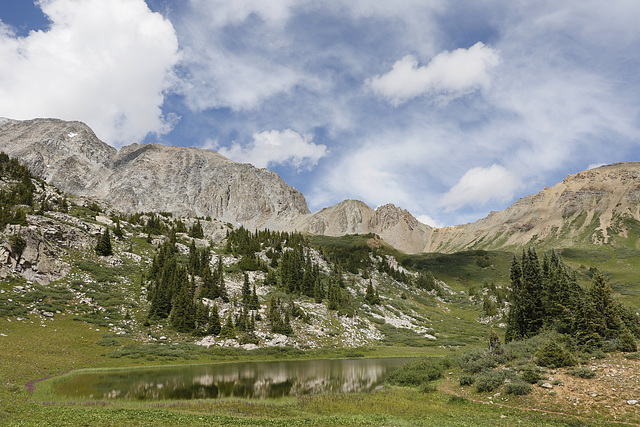 Colorado Rockies