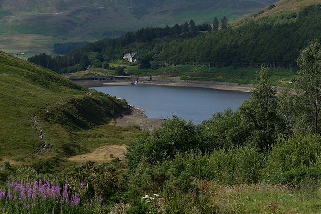 Dovestones in the heat