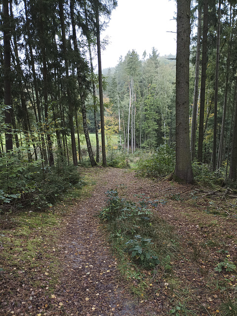 Fränkischer Jakobsweg: Bayreuth - Creußen