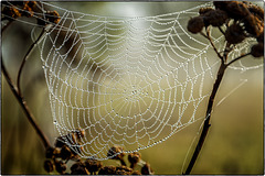 Schönheit der Natur vor der Haustüre