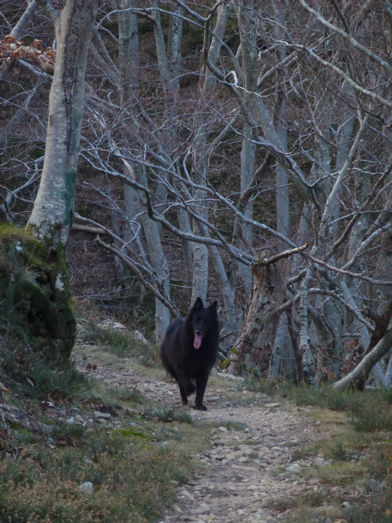 20150127 Fee Arboretum Espaze (3) al