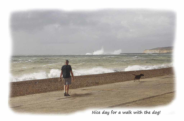 Nice day for a walk with the dog - Seaford - 14.9.2015