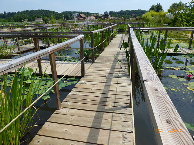 le labyrinthe aquatique